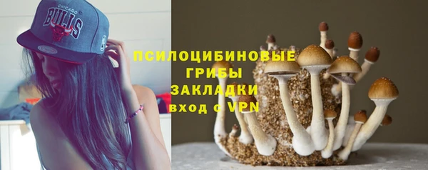 МДМА Арсеньев