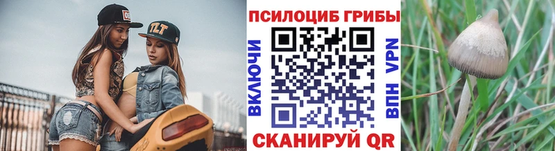 Галлюциногенные грибы Psilocybine cubensis  Ивдель 